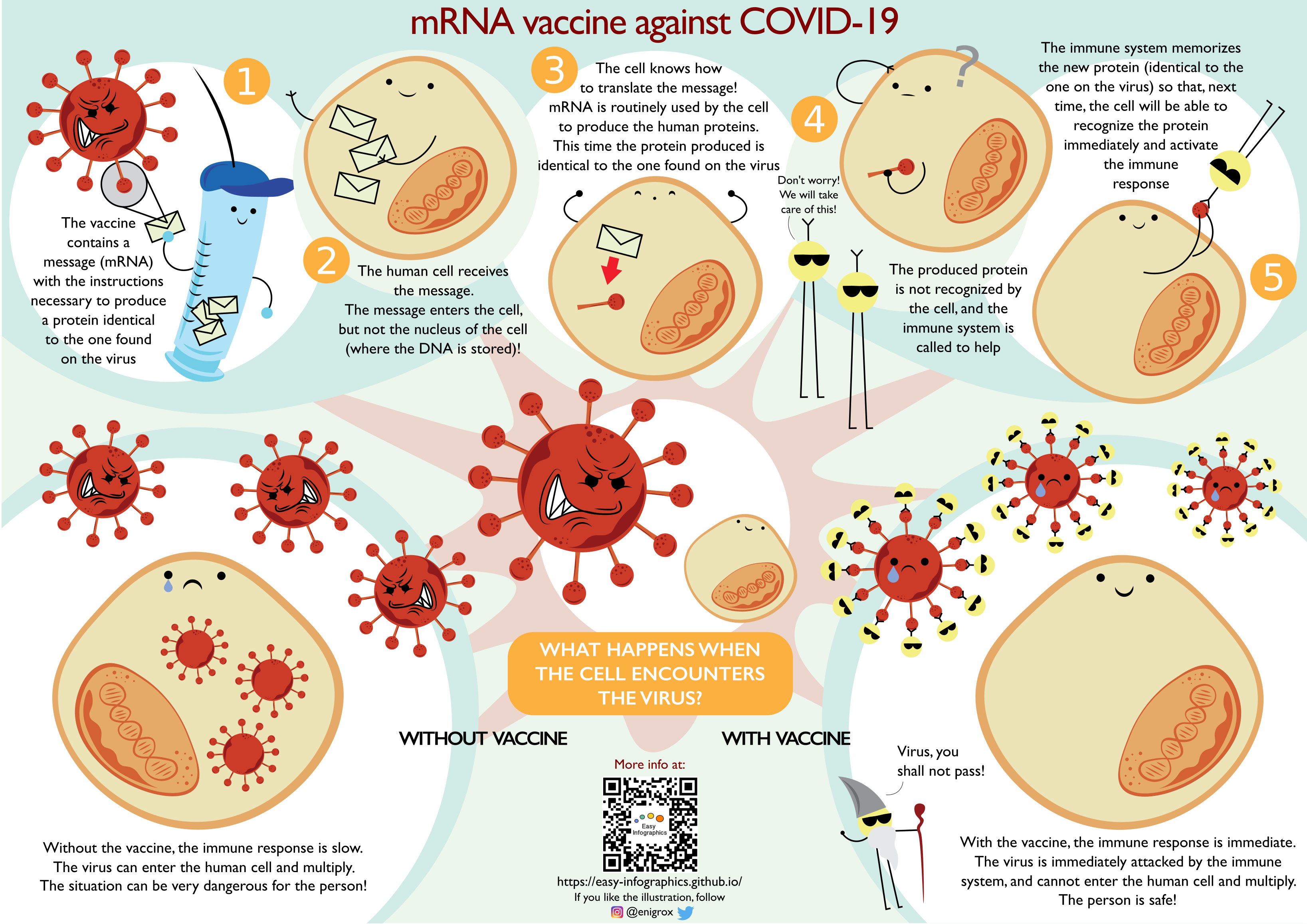 How does the mRNA vaccine work - english cartoon version